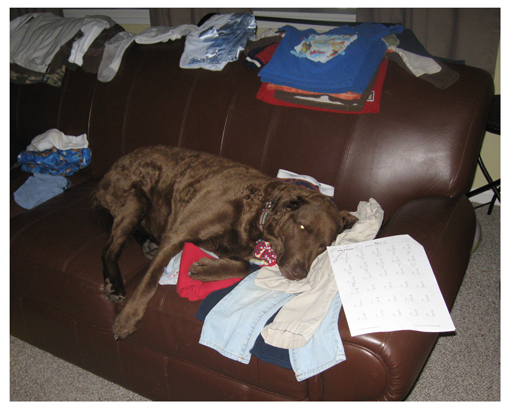 Too tired for laundry folding