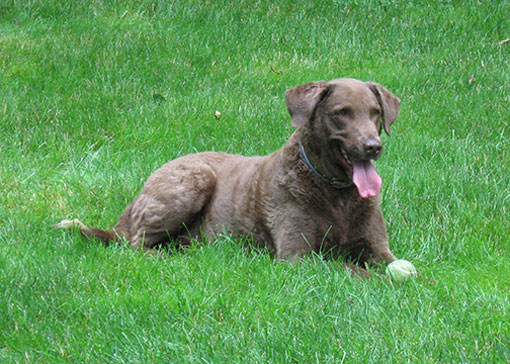 This is pre-"The Incident"