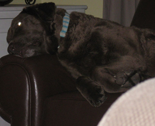 glowyeye BEFORE mastering the camera