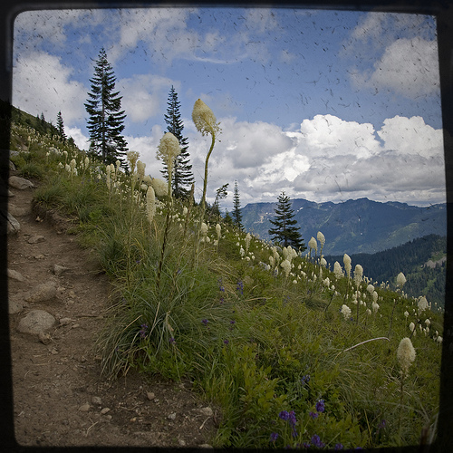 Click photo for credit