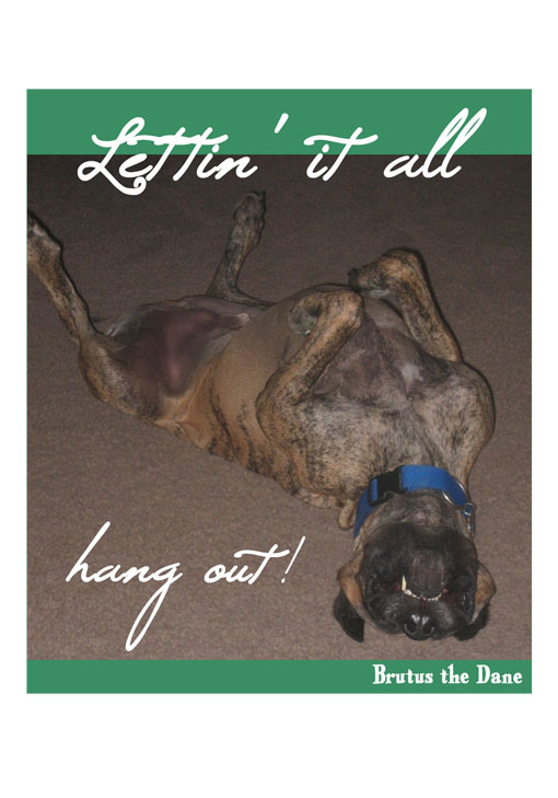 Just can't get enough Brutus the Dane