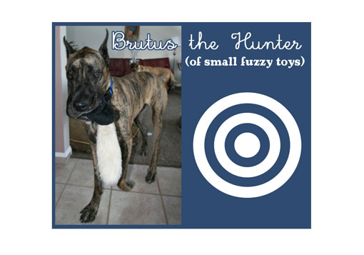 More Brutus the Dane