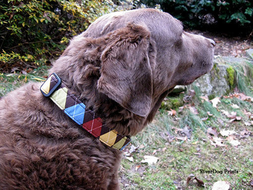 Modeling my new Sugar Plum Collar