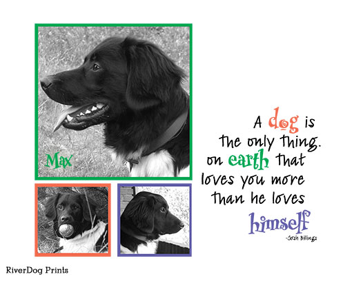 Pet Photo Card from RiverDog Prints