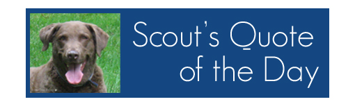 Scout the Dog's Quote of the Day