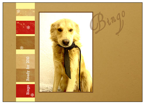 Bingo Digital Design Holiday Photo Card