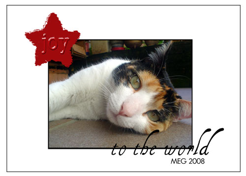 Meg Digital Design Holiday Photo Card
