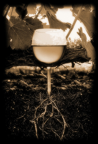 click image for credit