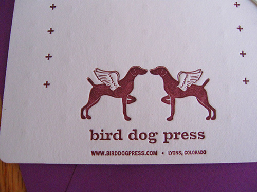 bird-dog-logo