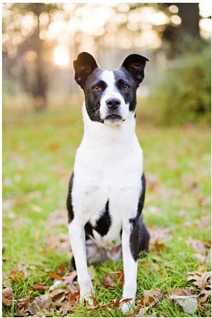 photo credit:  Johanna Price Photography