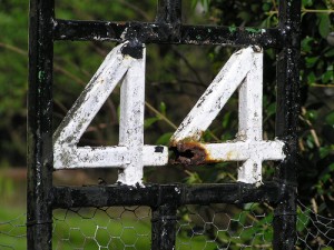 click image for credit