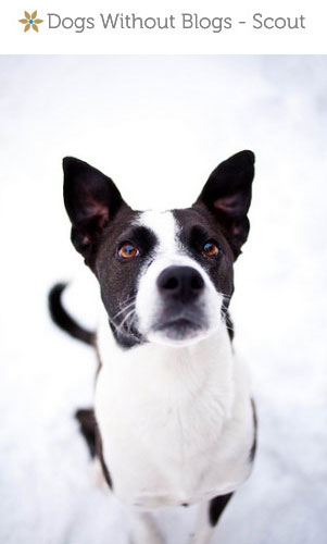 photo credit:  Johanna Price Photography