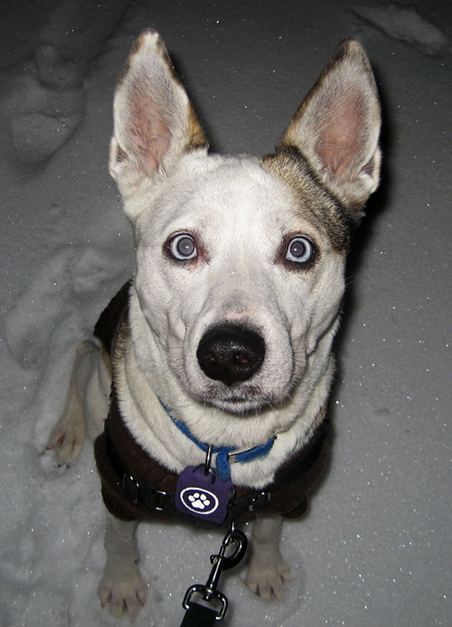 San (rhymes with fawn)