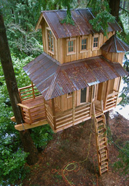 click image for source