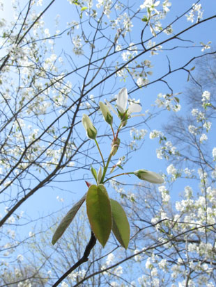 before-fresh-and-colorful