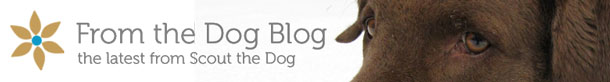 from-the-dog-blog-header