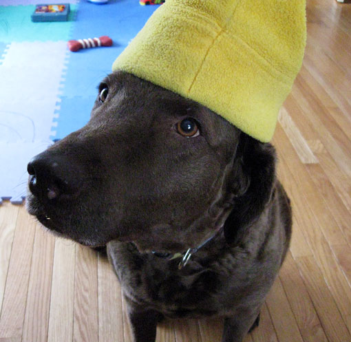 I look good in a hat, yes?