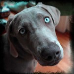 4403997533_29199119e5_m