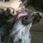 4459845097_066bb92272_m