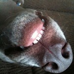 4459874943_8a004571d8_m