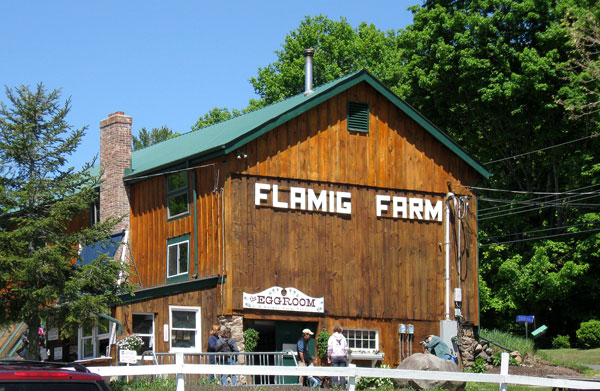 flamig-egg-room