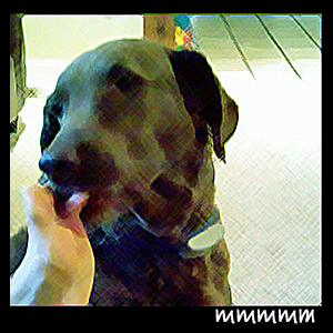 licky