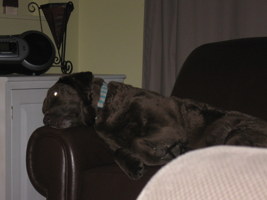 sleepy