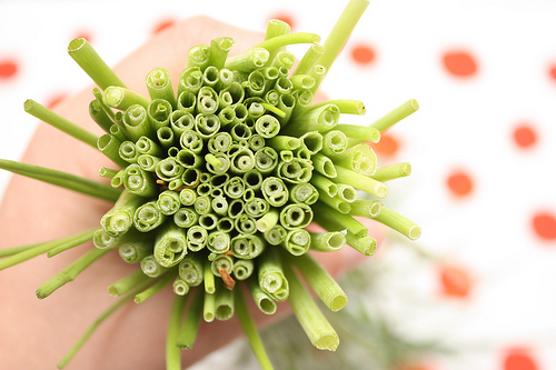 chives on flickr