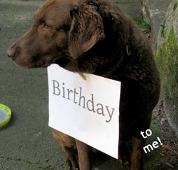 birthday2