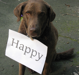 happy1
