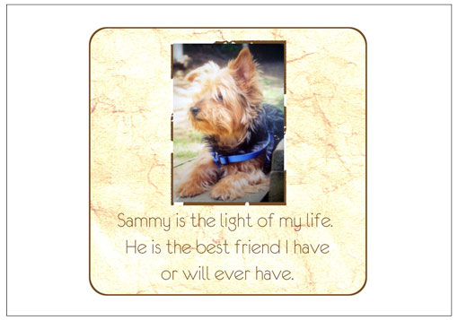 sammy1