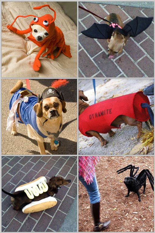 howl-o-ween