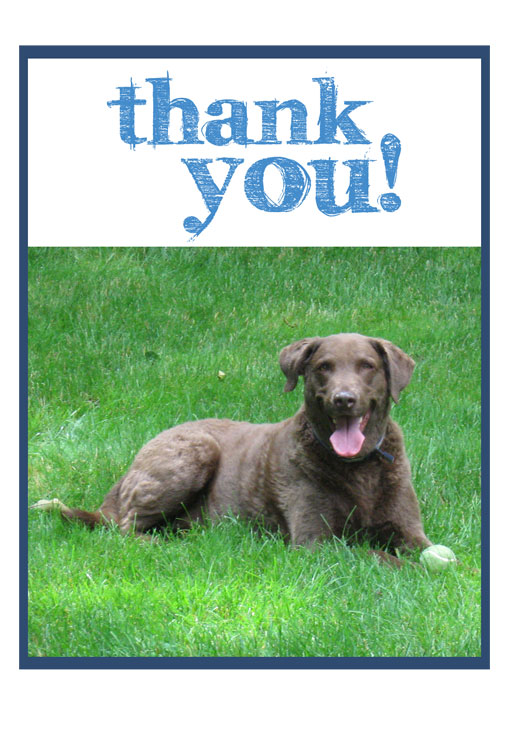 Thank you!