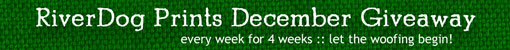 dec-banner
