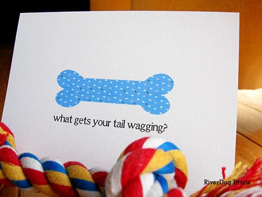 dog-stationery-bone