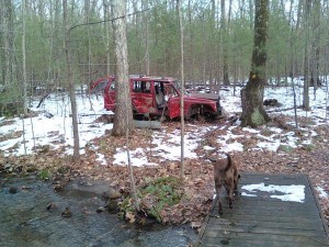 trail-car
