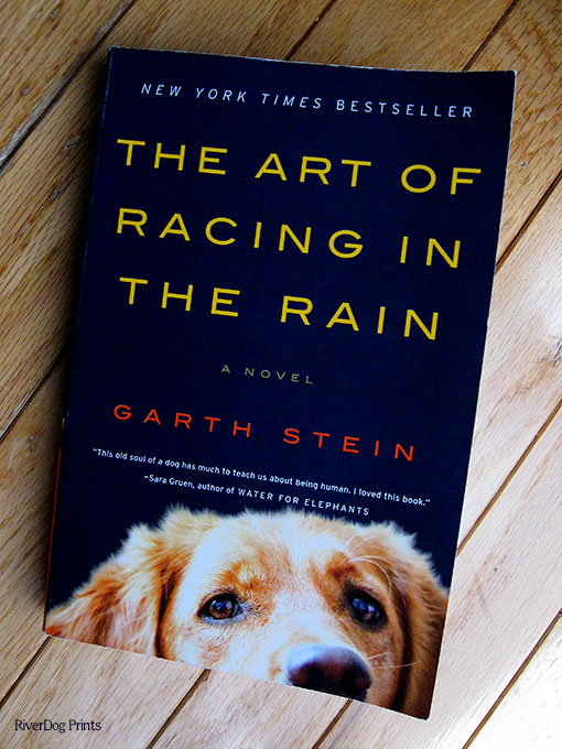 click for more book information