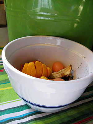compost-bowl-too