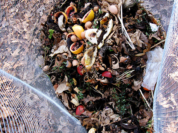 compost-zoom