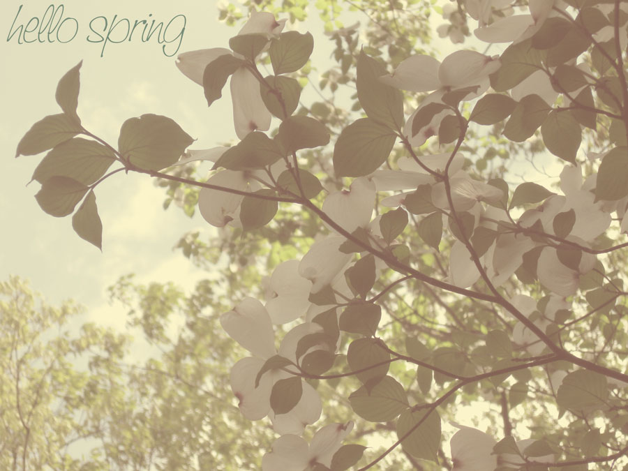 hello-spring