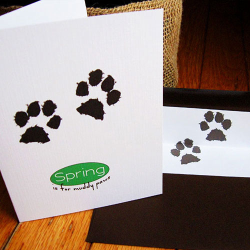 muddy-paws-set
