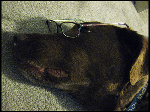 scout-glasses