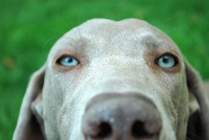 look into my eyes
