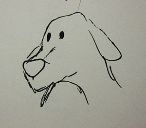 sketch