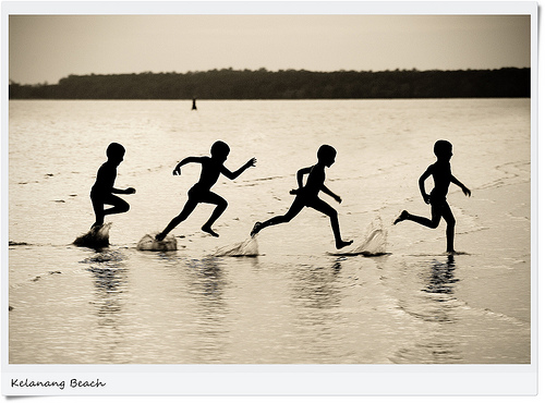 Run Tambi run...