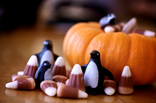 Penguin Harvest = Bokeh Thanksgiving!
