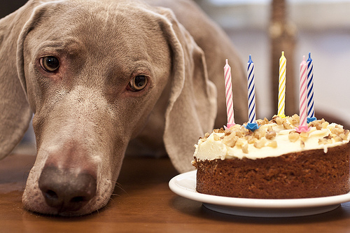 3/12 hehe, i turned 5 today :D