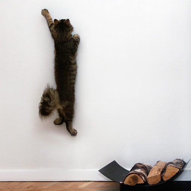 Jump! by Christian Holmér [crsan] on Flickr