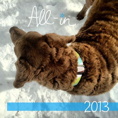all-in-2013