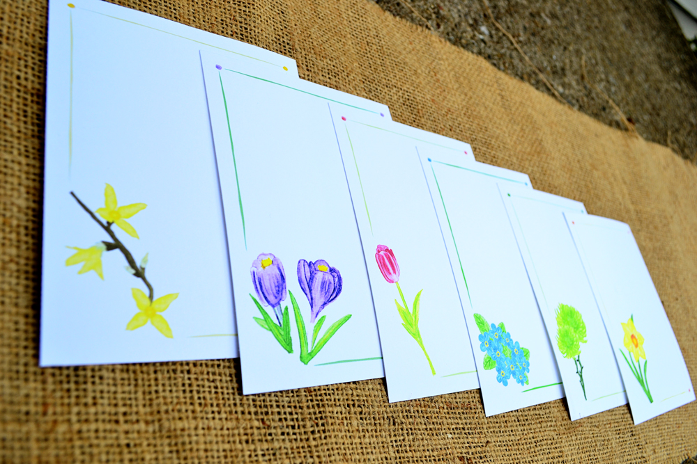 spring-flower-line